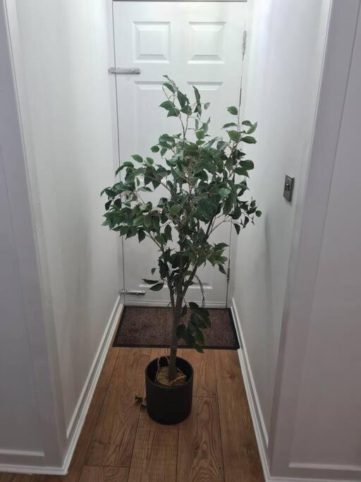 Lovely 2 Bedroom Garden Flat In Trendy West End กลาสโกว์ ภายนอก รูปภาพ